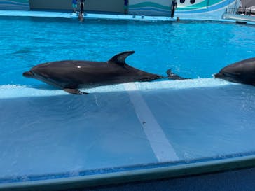 南知多ビーチランド＆南知多おもちゃ王国に投稿された画像（2023/7/23）