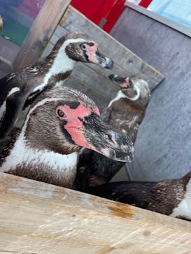 南知多ビーチランド＆南知多おもちゃ王国に投稿された画像（2023/7/23）