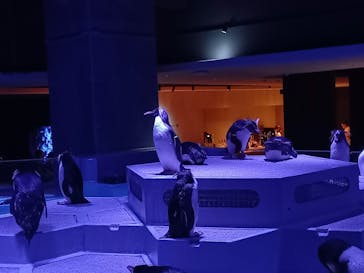 AOAO SAPPOROに投稿された画像（2023/7/23）