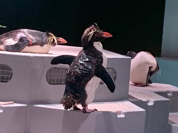 AOAO SAPPOROに投稿された画像（2023/7/23）