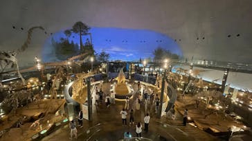 福井県立恐竜博物館に投稿された画像（2023/7/23）