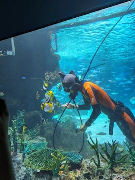 サンシャイン水族館に投稿された画像（2023/7/23）
