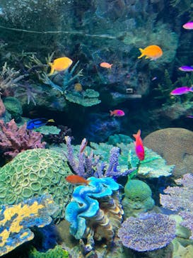 サンシャイン水族館に投稿された画像（2023/7/23）