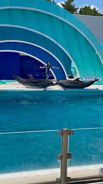 鴨川シーワールドに投稿された画像（2023/7/23）