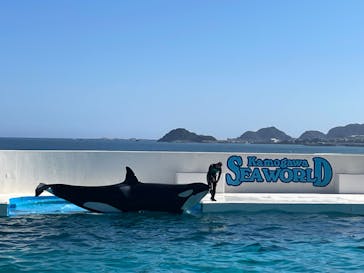 鴨川シーワールドに投稿された画像（2023/7/23）