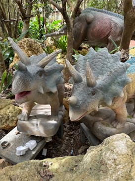 ナゴパイナップルパークに投稿された画像（2023/7/23）