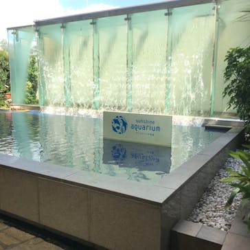 サンシャイン水族館に投稿された画像（2023/7/23）