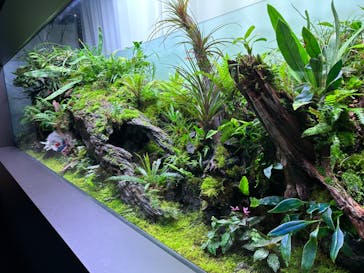 AOAO SAPPOROに投稿された画像（2023/7/23）