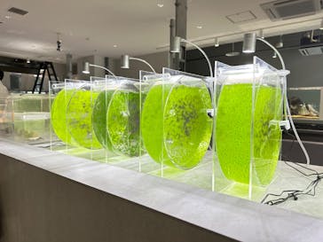 AOAO SAPPOROに投稿された画像（2023/7/23）