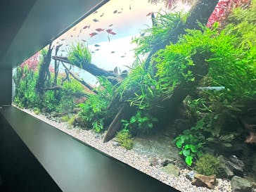 AOAO SAPPOROに投稿された画像（2023/7/23）