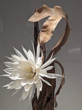 あべのハルカス美術館に投稿された画像（2023/7/23）