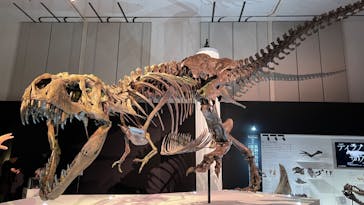 DinoScience 恐竜科学博 2023@TOKYO MIDTOWNに投稿された画像（2023/7/23）