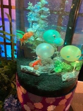 NARA KINGYO MUSEUMに投稿された画像（2023/7/23）