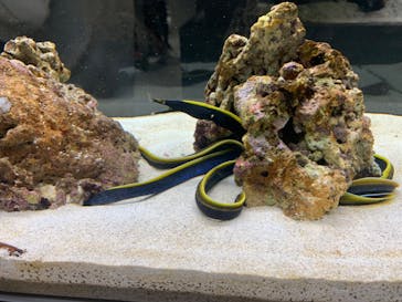 AOAO SAPPOROに投稿された画像（2023/7/23）