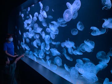 AOAO SAPPOROに投稿された画像（2023/7/23）