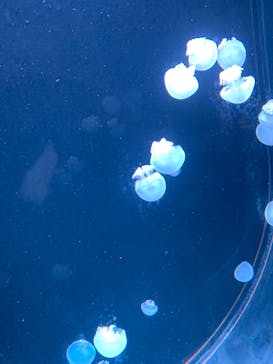 AOAO SAPPOROに投稿された画像（2023/7/23）