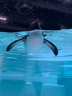 AOAO SAPPOROに投稿された画像（2023/7/23）