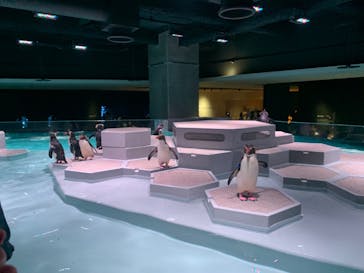 AOAO SAPPOROに投稿された画像（2023/7/23）