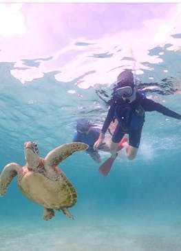 宮古島マリン GB QUESTに投稿された画像（2023/7/23）