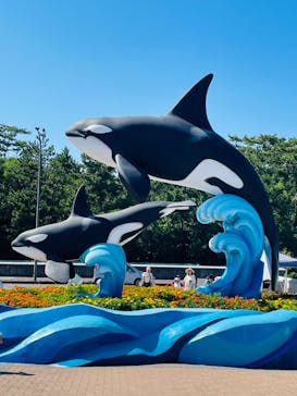 鴨川シーワールドに投稿された画像（2023/7/23）