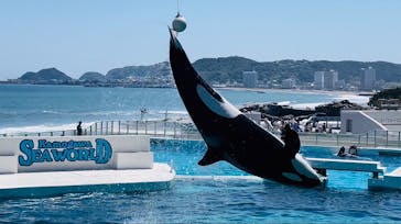 鴨川シーワールドに投稿された画像（2023/7/23）