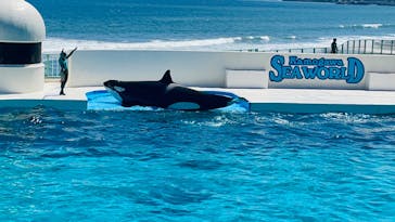 鴨川シーワールドに投稿された画像（2023/7/23）