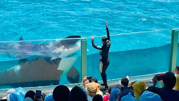 鴨川シーワールドに投稿された画像（2023/7/23）