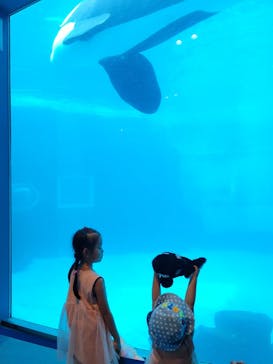 名古屋港水族館に投稿された画像（2023/7/23）