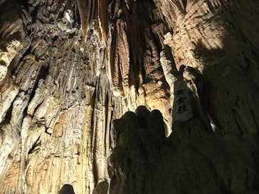 あぶくま洞に投稿された画像（2023/7/23）