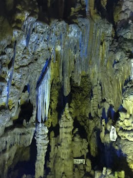 あぶくま洞に投稿された画像（2023/7/23）