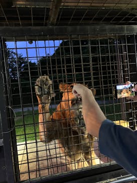 那須サファリパークに投稿された画像（2023/7/23）