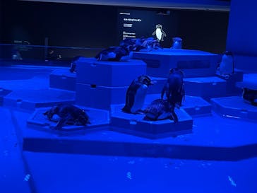 AOAO SAPPOROに投稿された画像（2023/7/23）