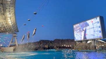 名古屋港水族館に投稿された画像（2023/7/24）