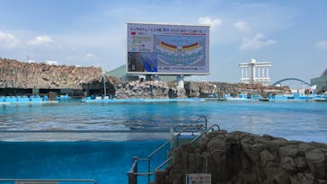 名古屋港水族館に投稿された画像（2023/7/24）