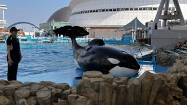 名古屋港水族館に投稿された画像（2023/7/24）