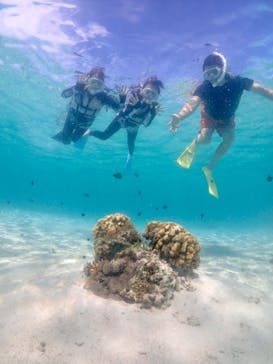 nico 宮古島に投稿された画像（2023/7/23）