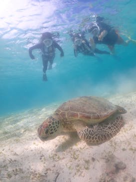 nico 宮古島に投稿された画像（2023/7/23）