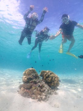 nico 宮古島に投稿された画像（2023/7/23）