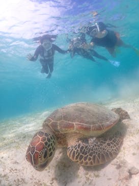 nico 宮古島に投稿された画像（2023/7/23）