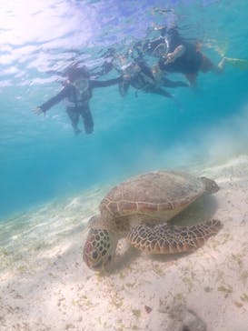 nico 宮古島に投稿された画像（2023/7/23）