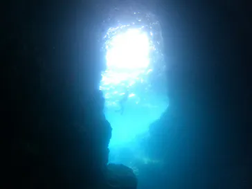 武藤潜水に投稿された画像（2023/7/24）