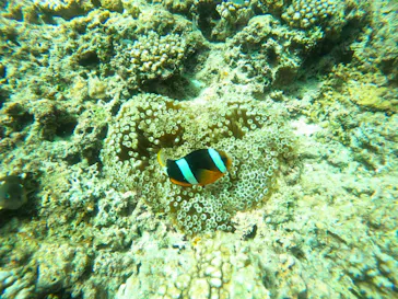 武藤潜水に投稿された画像（2023/7/24）