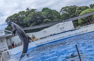 九十九島水族館海きららに投稿された画像（2023/7/24）