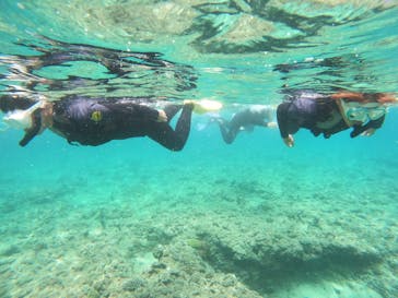 沖縄マリンサービス碧に投稿された画像（2023/7/24）