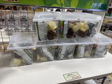 JOYPOLIS 特別イベントスペースに投稿された画像（2023/7/24）