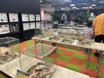 JOYPOLIS 特別イベントスペースに投稿された画像（2023/7/24）