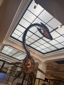 国立科学博物館に投稿された画像（2023/7/24）