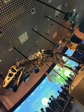 国立科学博物館に投稿された画像（2023/7/24）