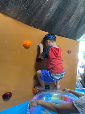 日本モンキーパークに投稿された画像（2023/7/24）