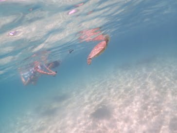 宮古島マリン GB QUESTに投稿された画像（2023/7/24）